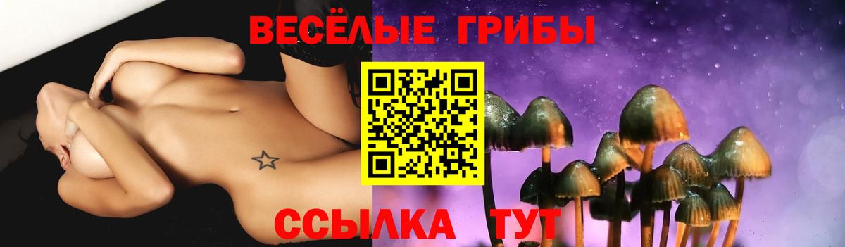 Псилоцибиновые грибы Magic Shrooms  Вход с VPN  Симферополь 
